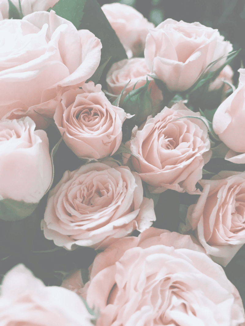 Accueil medecine de la rose quantique